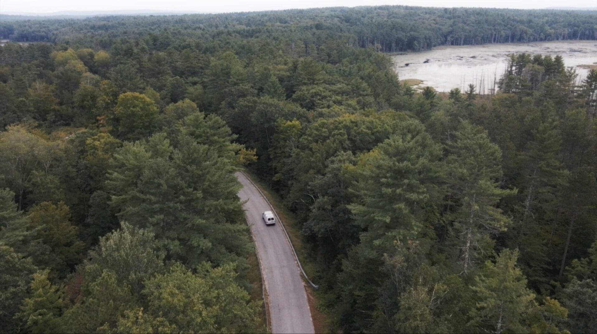Car on forest road near a lake.